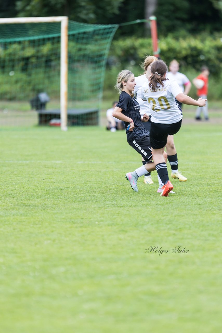 Bild 450 - Loewinnen Cup